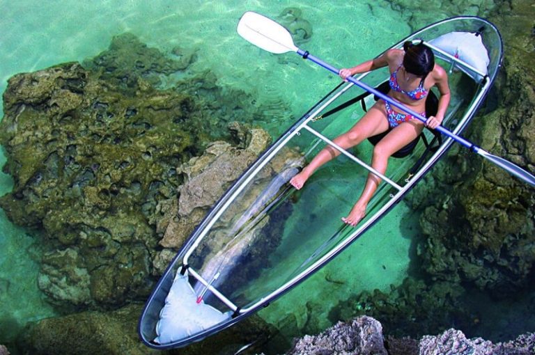Ce canoë transparent offre une vue complète du monde sous-marin