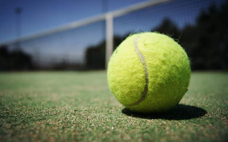 Tennis : Paire et Mannarino filent en quarts