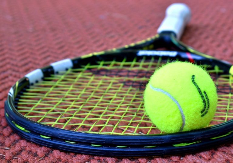 Masters de Paris : Novak Djokovic bat Roger Federer pour atteindre la finale