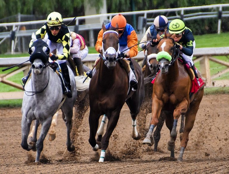 Course de chevaux : nouvelle compétition par équipes reportée à 2020