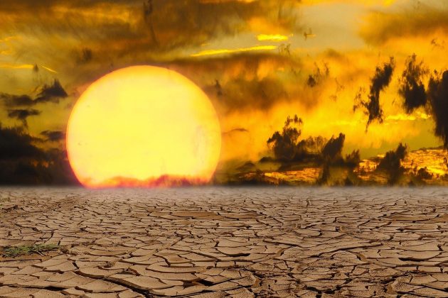 Changement climatique : le sport fait face à l’augmentation des températures
