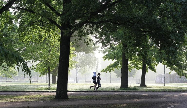 Les différents exercices qui renforcent le cœur