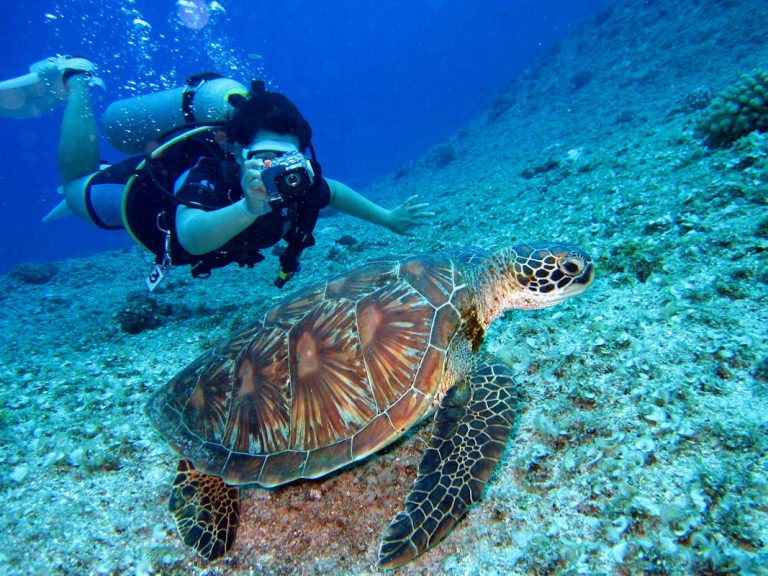 Guide pratique : comment choisir le meilleur ordinateur de plongée pour vos explorations sous-marines