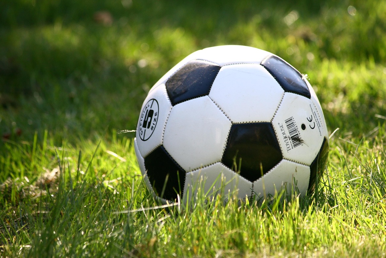 Ballon de football noir et blanc posé dans l'herbe d'un terrain, éclairé par le soleil